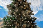 Commercial Grade Wide Angle 50 LED Sun Warm White 25' Long on Green Wire